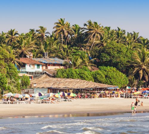 The Titanic Holidays