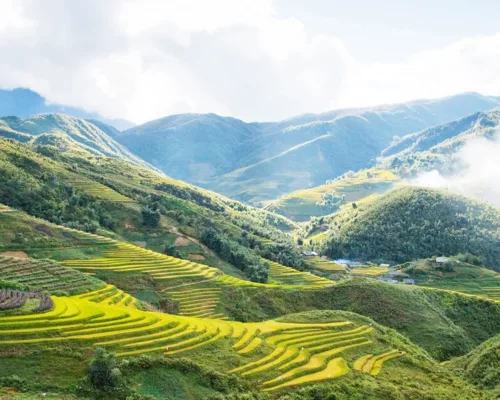 The Titanic Holidays